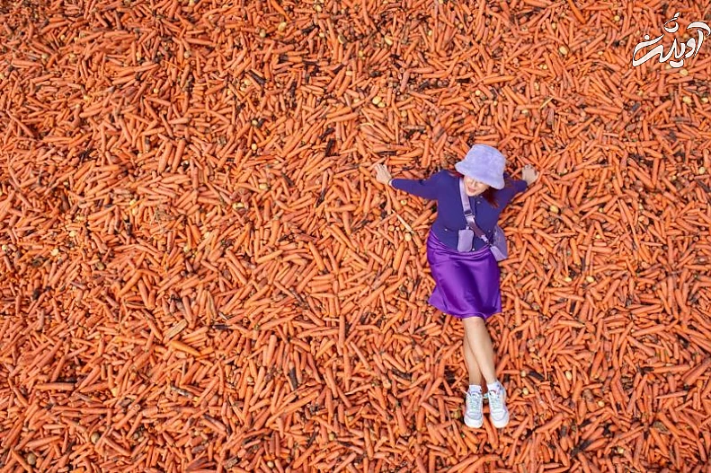 منتخب عکس‌های برگزیده خبری هفته گذشته